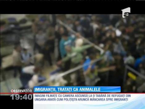Ungaria : Zeci de imigranţi primesc hrana de parcă ar fi animale în cuşti
