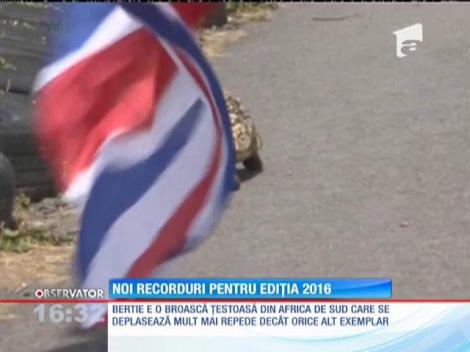 Un super căţel-portar şi o ţestoasă au ajuns în Cartea Recordurilor!