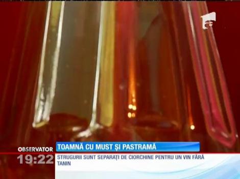 Viticultorii culeg roadele muncii