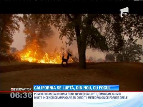 Patru pompieri americani au fost răniţi în lupta cu flăcările, în nordul Californiei