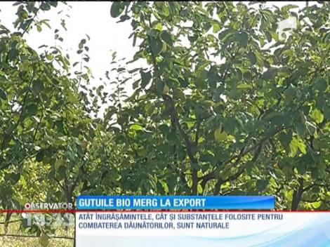 La vârsta pensionării, un medic din Giurgiu s-a lansat în afaceri cu o idee de succes