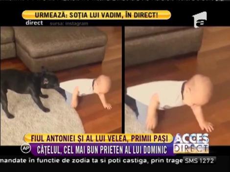 Dominic, fiul Antoniei şi al lui Alex Velea e vedetă pe internet! Băiețelul a fost filmat în timp ce face primii pași, ajutat de cățelul familiei