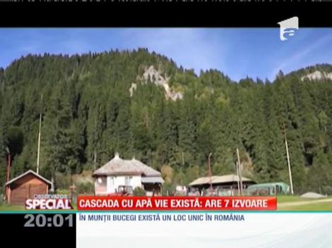SPECIAL! Cascada cu apă vie există: are 7 izvoare