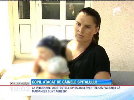 Fetiţă de 5 ani sfâșiată de un câine în curtea unui spital din Galaţi