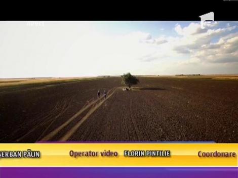 Matteo & Gabriel Cotabiţă - Ce zi liniştită