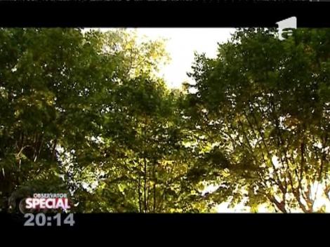 Special! Cel mai bun mod de relaxare este o plimbare în parc