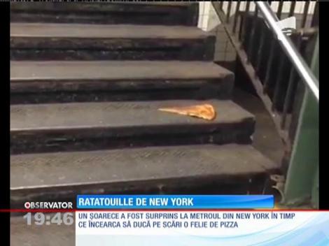 VIRAL: Soarecele și felia de pizza