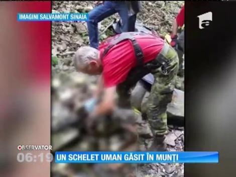 Un cioban a găsit un schelet uman, în timp ce era cu oile la păscut