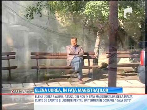 Elena Udrea rămâne sub control judiciar