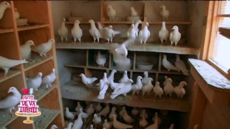 Margherita de la Clejani, speriată de moarte la "Poftiţi de vă iubiţi"! Ce a făcut-o să ţipe cu toată puterea, spre disperarea lui Cosmin Seleşi