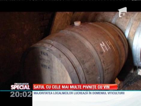SPECIAL! Satul cu cele mai multe pivnițe cu vin