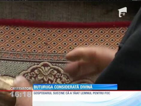 Un gospodar din judeţul Iaşi susține că Dumnezeu i-a trimit un mesaj pe o buturugă