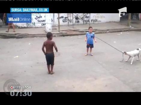Un câine din Rio de Janeiro este cel mai bun partener de joacă al copiilor