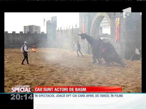 Special! "Basme cu cai", un spectacol pentru toate vârstele