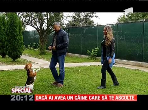 "Ham Talent", un show cu şi despre animale