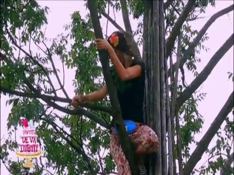 „Fire-ați ale dracu de maimuțe”! Fetele se suie în copac, dar nea Mărin pune bâta pe ele!