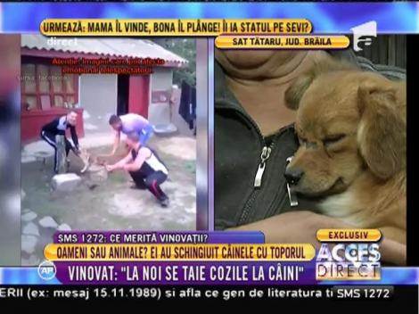 S-a aflat cine sunt vinovații! Cei trei bărbați care au tăiat coada unui câine cu toporul nu regretă nimic!