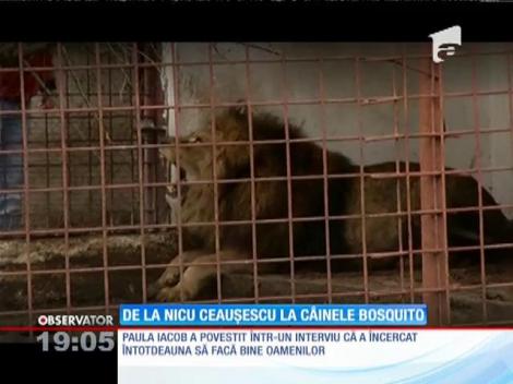 Paula Iacob a avut o viaţă controversată