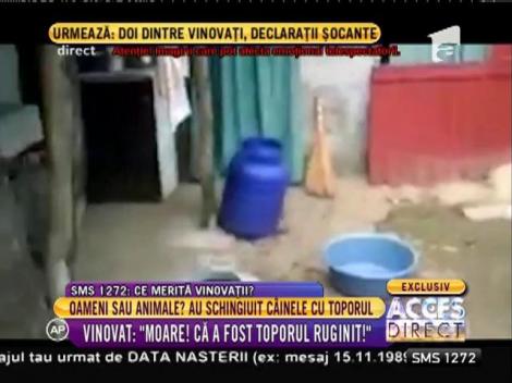 ŞOC! Trei tineri din Brăila s-au filmat &icirc;n timp ce tăiau coada unui c&acirc;ine cu un topor