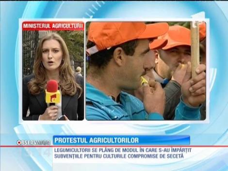 Legumicultorii, nemulţumiţi de cum s-au împărţit subvenţiile pentru culturile compromise de secetă