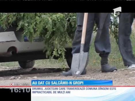 Un primar din Botoşani s-a apucat să planteze copaci