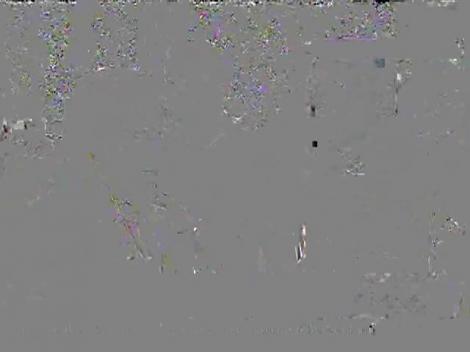 Gigi Becali, la înmormântarea Paulei Iacob