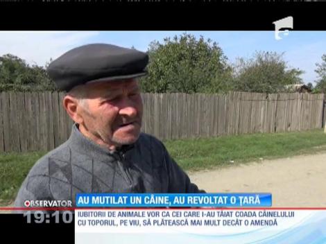 Revoltă în satul bestiilor care au şocat o ţară întreagă după ce au tăiat coada unui câine