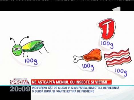 Special! Insectele, hrana viitorului