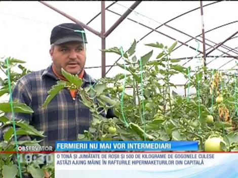 În comuna Vărăşti din judeţul Giurgiu producătorii de legume s-au făcut patroni