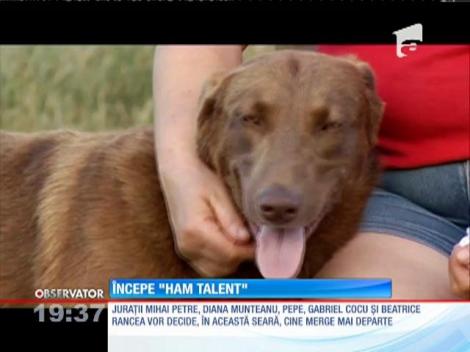 Începe spectacolul "Ham Talent"!