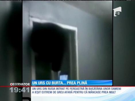 Un urs cu burta... prea plină