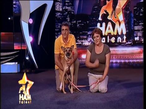 Emoții puternice. Diana nu-și poate stăpâni lacrimile, iar Mihai exclamă: „Nu pot să-nțeleg!”