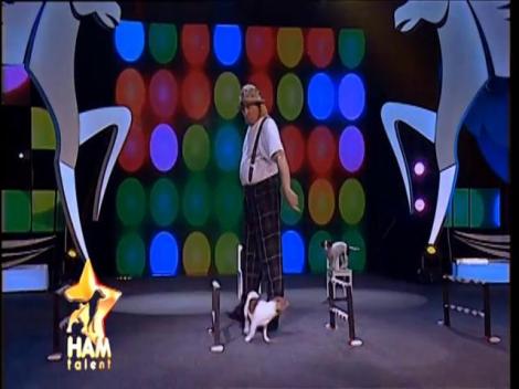 Așa mamă, așa fiică. Miss și Eliz, un excelent număr de dresaj