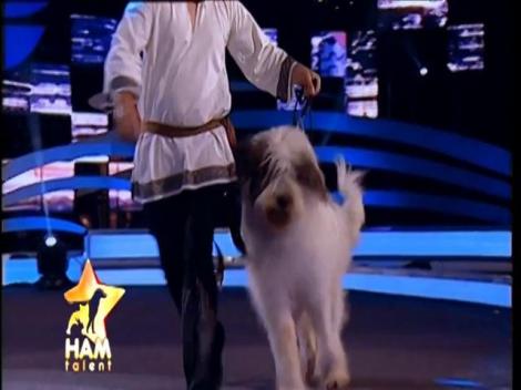 Athos sau exemplul ciobănescului românesc mioritic