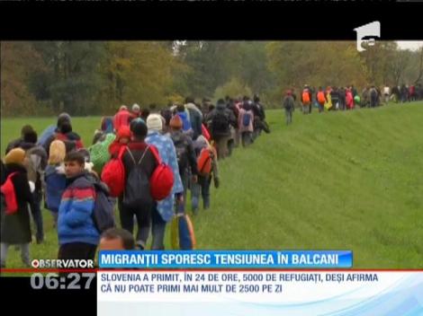 Croaţia, pentru imigranţi, a deschis frontiera cu Serbia