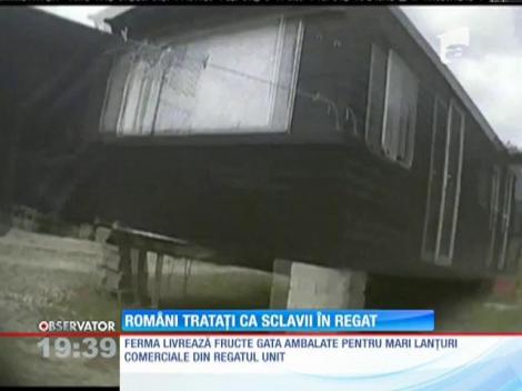 Mai mulţi angajaţi români, exploataţi ca sclavii în Marea Britanie