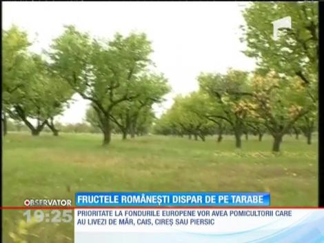 Fructele româneşti dispar de pe tarabe