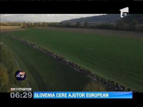 Slovenia cere ajutor Europei pentru a putea controla afluxul de refugiaţi