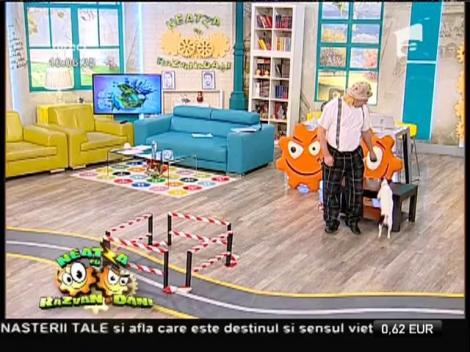 VIDEO: Miss și Eliz, de pe scena "Ham Talent" la "Neatza cu Răzvan și Dani". Spectacol incendiar!