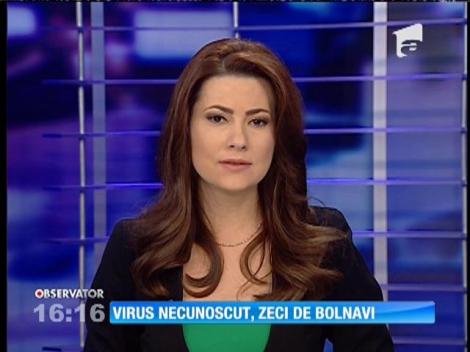 Un virus necunoscut face victime în judeţul Arad