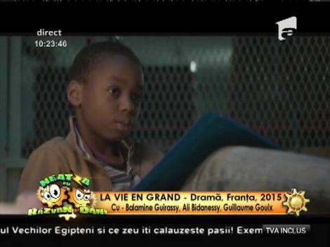 Irina Margareta Nistor, noutăți din lumea filmului