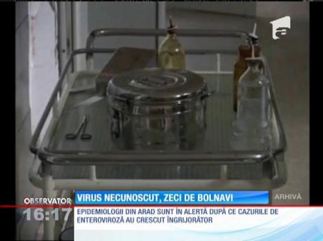 Un virus necunoscut continuă să facă victime în judeţul Arad