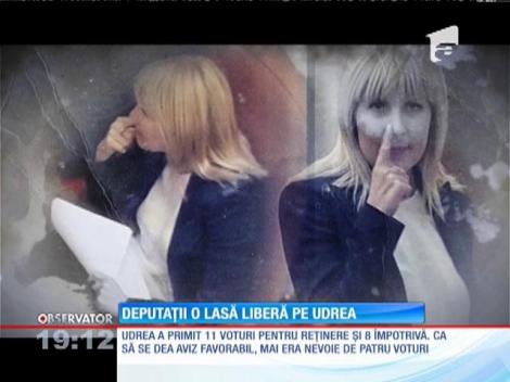 Udrea recunoaşte că afaceristul Bogdan Buzăianu pentru campania din 201