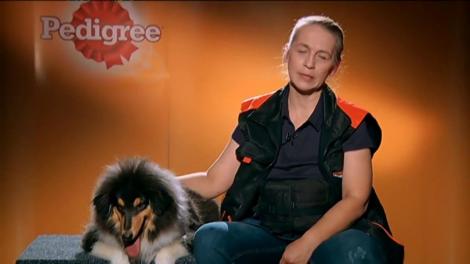 Ringstar Agility Club promovează cultura canină pe scena Ham Talent