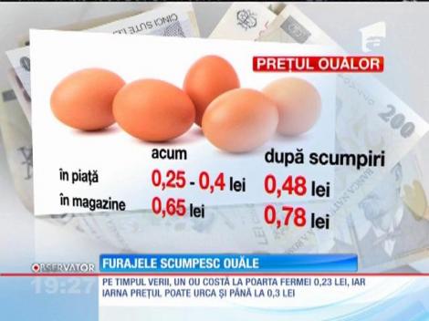 Vremea rece scumpeşte ouăle!
