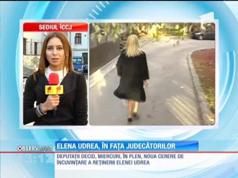 Elena Udrea vrea să scape de controlul judiciar din dosarul Gala Bute