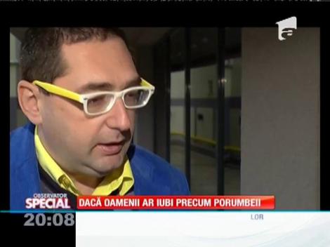 SPECIAL! Porumbeii iubesc doar o dată