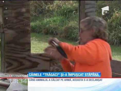 Un câine și-a împușcat propria stăpână