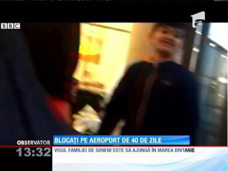 O familie de sirieni locuieşte pe un terminal al aeroportului din Moscova