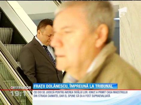Dragoş şi Ionuţ Dolănescu, împreună la tribunal